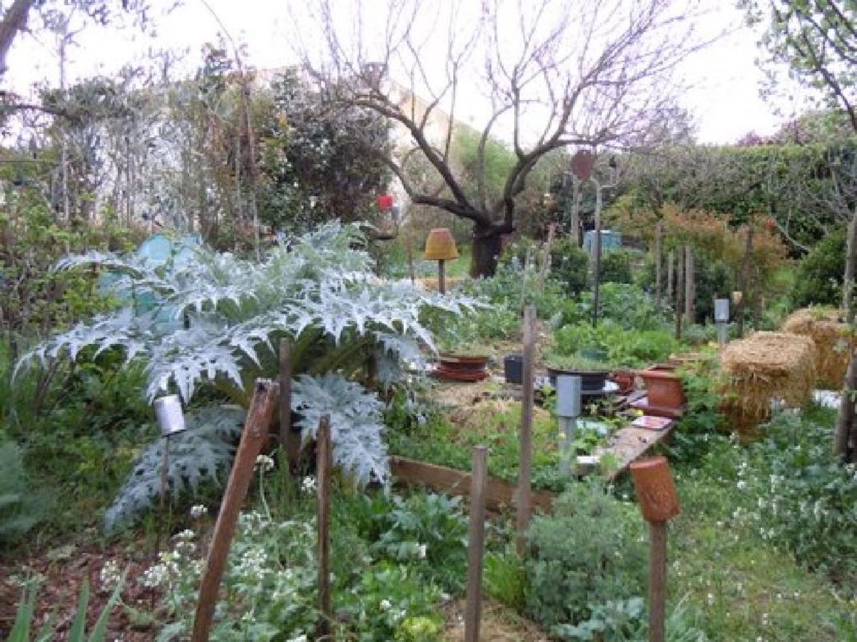 Apiflore Garéoult Exterior foto