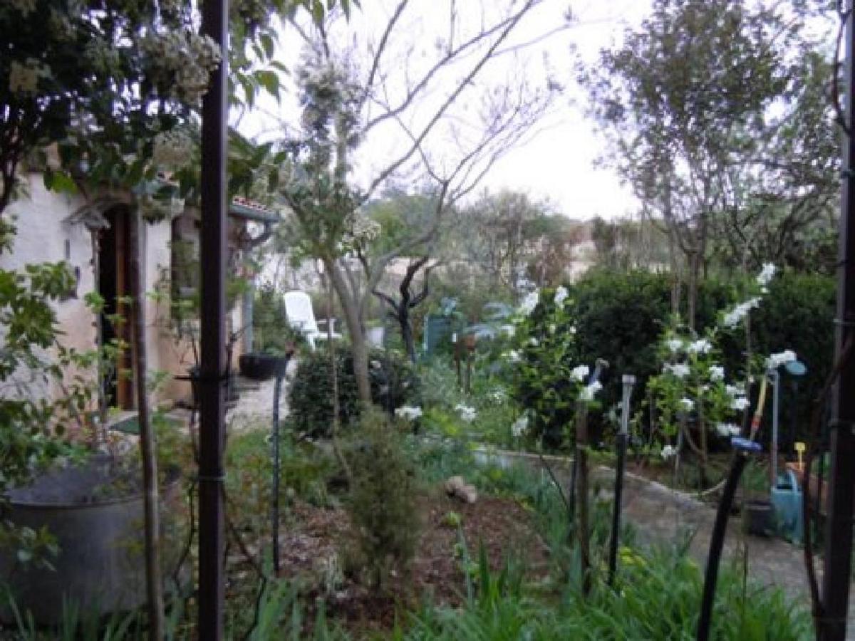 Apiflore Garéoult Quarto foto